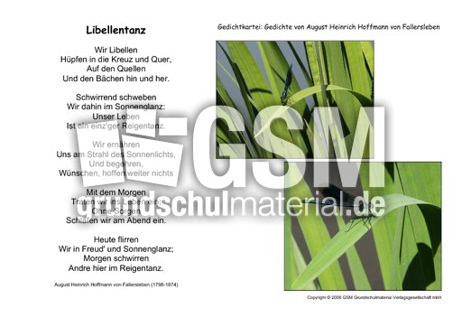 Libellentanz-Fallersleben.pdf